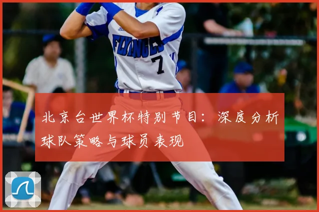 北京台世界杯特别节目：深度分析球队策略与球员表现