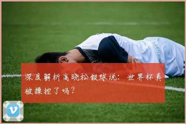 深度解析高晓松假球说：世界杯真被操控了吗？