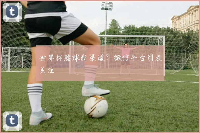 世界杯赌球新渠道？微信平台引发关注