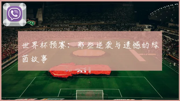 世界杯预赛：那些逆袭与遗憾的绿茵故事