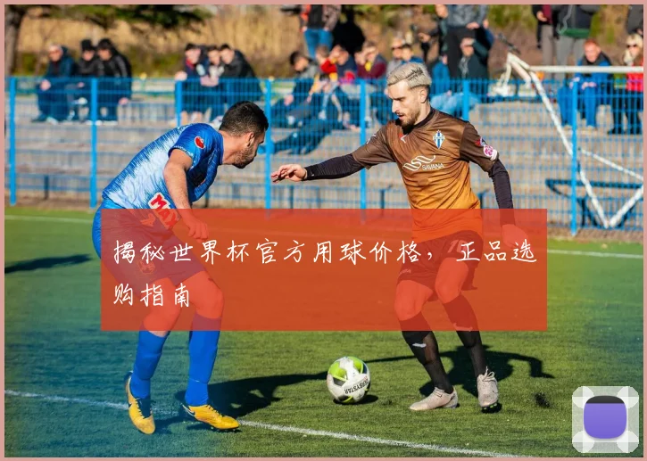 揭秘世界杯官方用球价格，正品选购指南