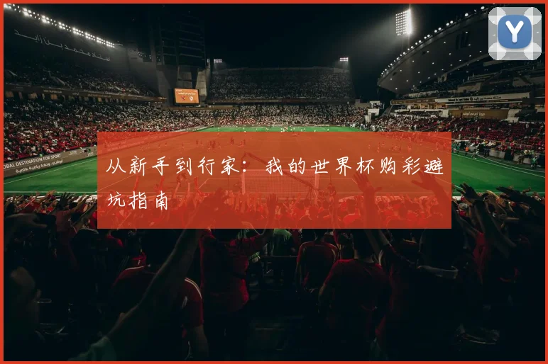 从新手到行家：我的世界杯购彩避坑指南